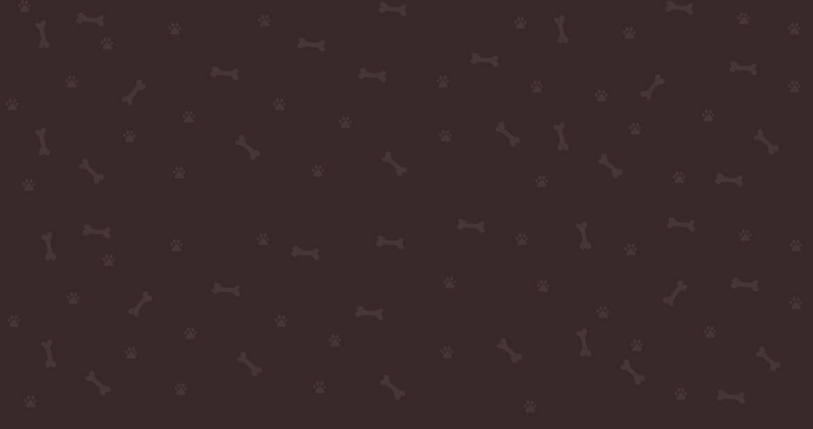 background-5.jpg